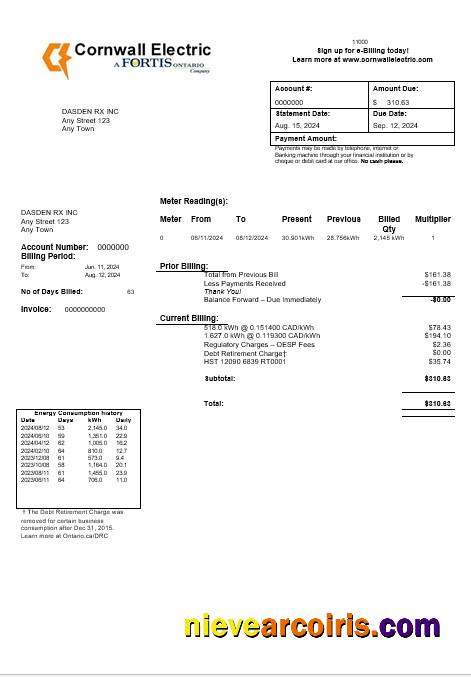 USA Cornwall Electric business utility bill